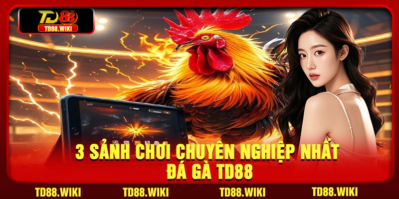 3 sảnh chơi chuyên nghiệp nhất đá gà TD88