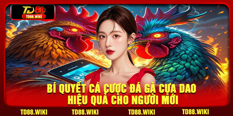 Bí quyết cá cược đá gà cựa dao hiệu quả cho người mới