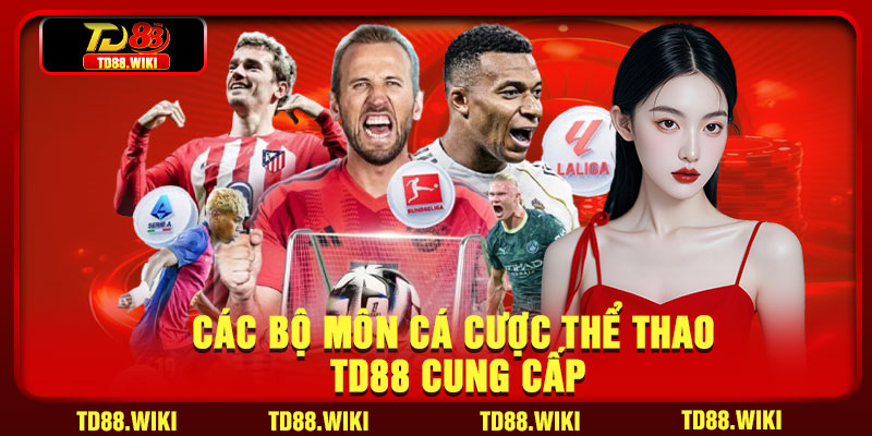 Cac bo mon ca cuoc the thao TD88 cung cap