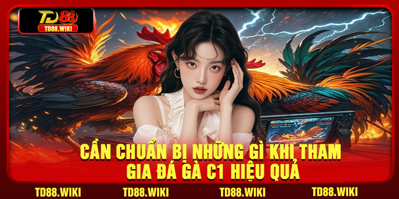 Cần chuẩn bị những gì khi tham gia đá gà C1 hiệu quả