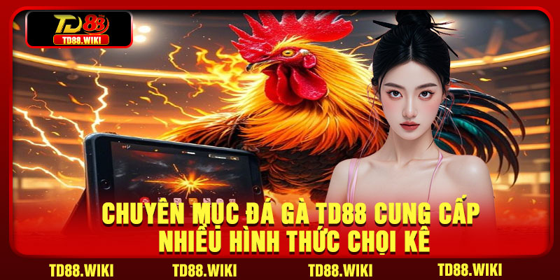 Chuyên mục đá gà TD88 cung cấp nhiều hình thức chọi kê