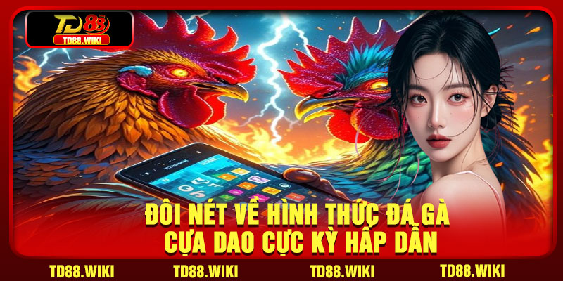 Đôi nét về hình thức đá gà cựa dao cực kỳ hấp dẫn