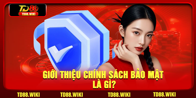 Giới thiệu chính sách bảo mật là gì?