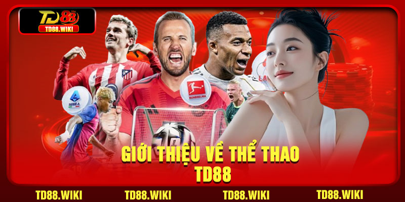 Giới thiệu về thể thao TD88
