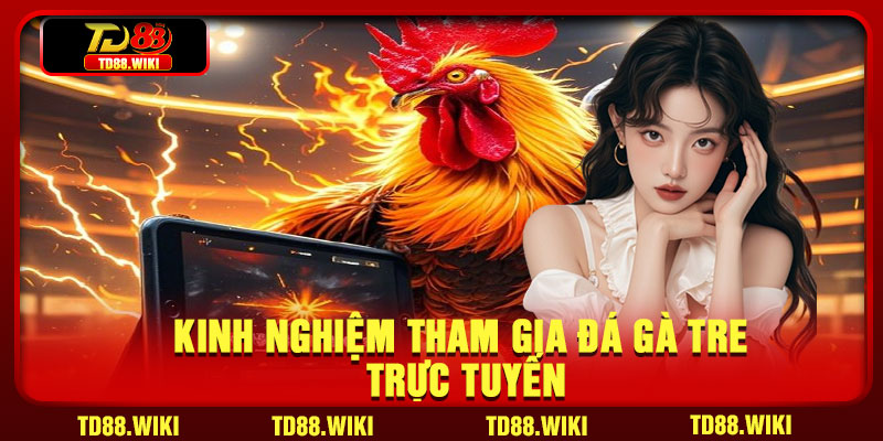 Kinh nghiệm tham gia đá gà tre trực tuyến