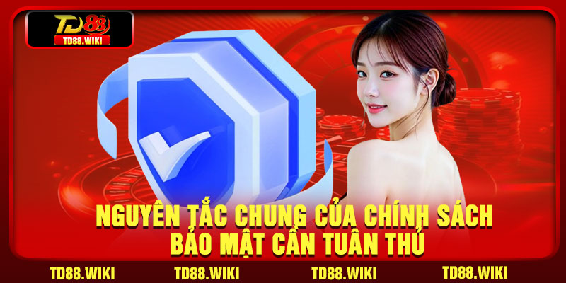 Nguyên tắc chung của chính sách bảo mật cần tuân thủ