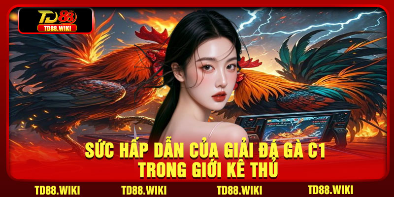 Sức hấp dẫn của giải đá gà C1 trong giới kê thủ