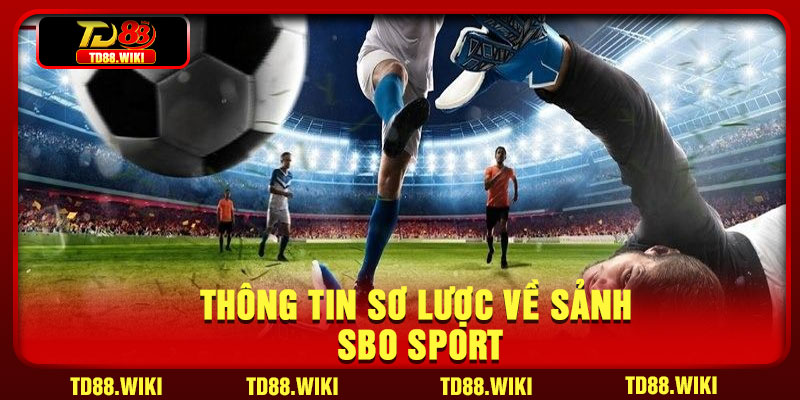 Thông tin sơ lược về sảnh SBO Sport