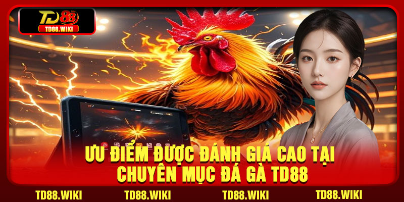 Ưu điểm được đánh giá cao tại chuyên mục đá gà TD88
